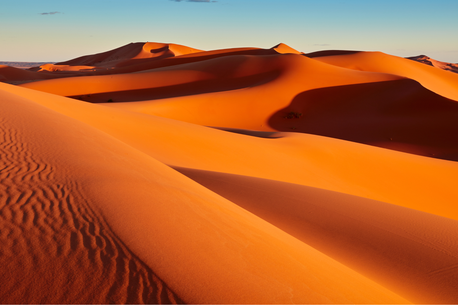 Merzouga Sahara desert dunes camel trekking Morocco