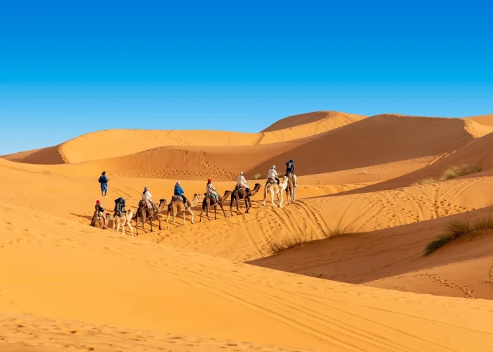 8 Days Nomad Morocco Adventure Desert Camel Trekking