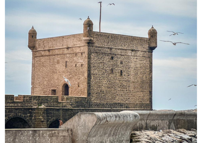 Best Day Trip Essaouira From Marrakech