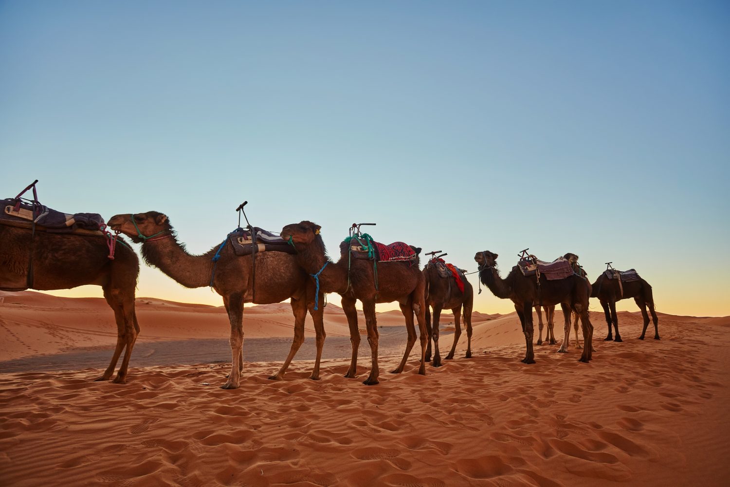 5 Days Fes To Marrakech Via Sahara Desert Merzouga