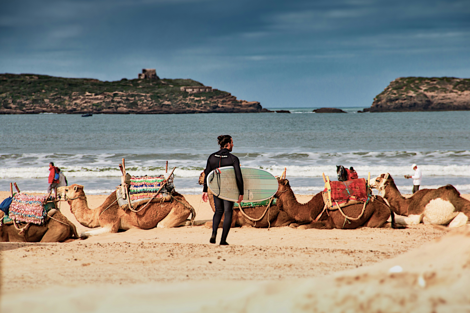 Essaouira Beach & Medina Experience 1day from marrakech to essaouira