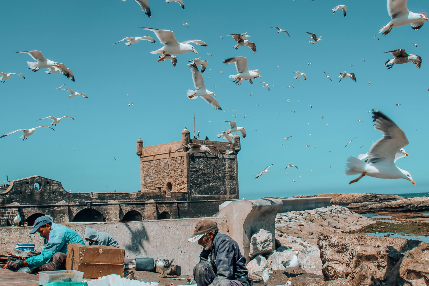 Essaouira Beach & Medina Experience 1day from marrakech to essaouira