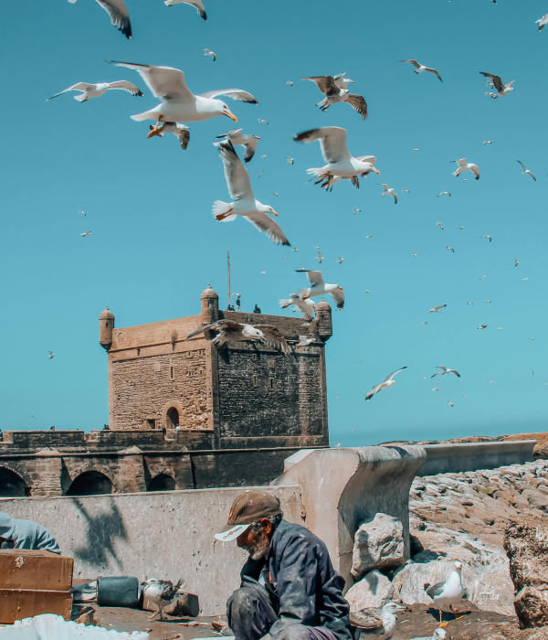 Essaouira Beach & Medina Experience 1day from marrakech to essaouira