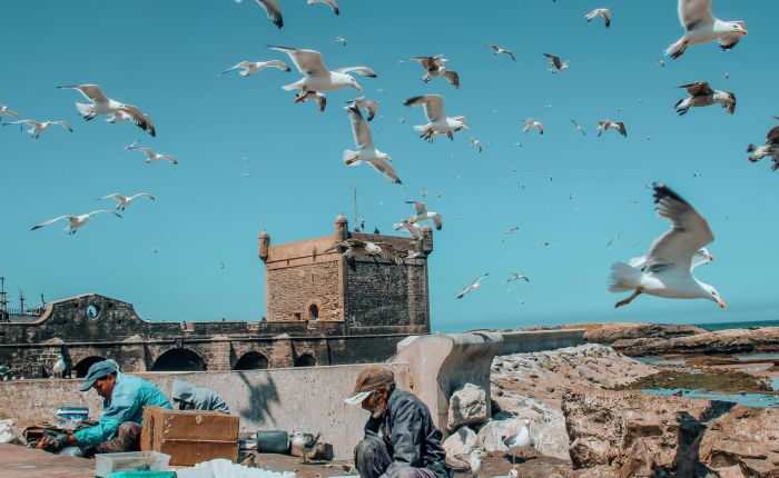 Essaouira Beach & Medina Experience 1day from marrakech to essaouira