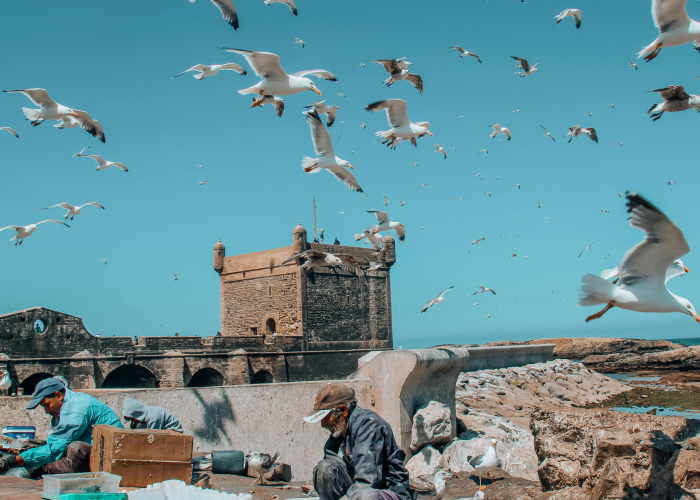 Essaouira Beach & Medina Experience 1day from marrakech to essaouira