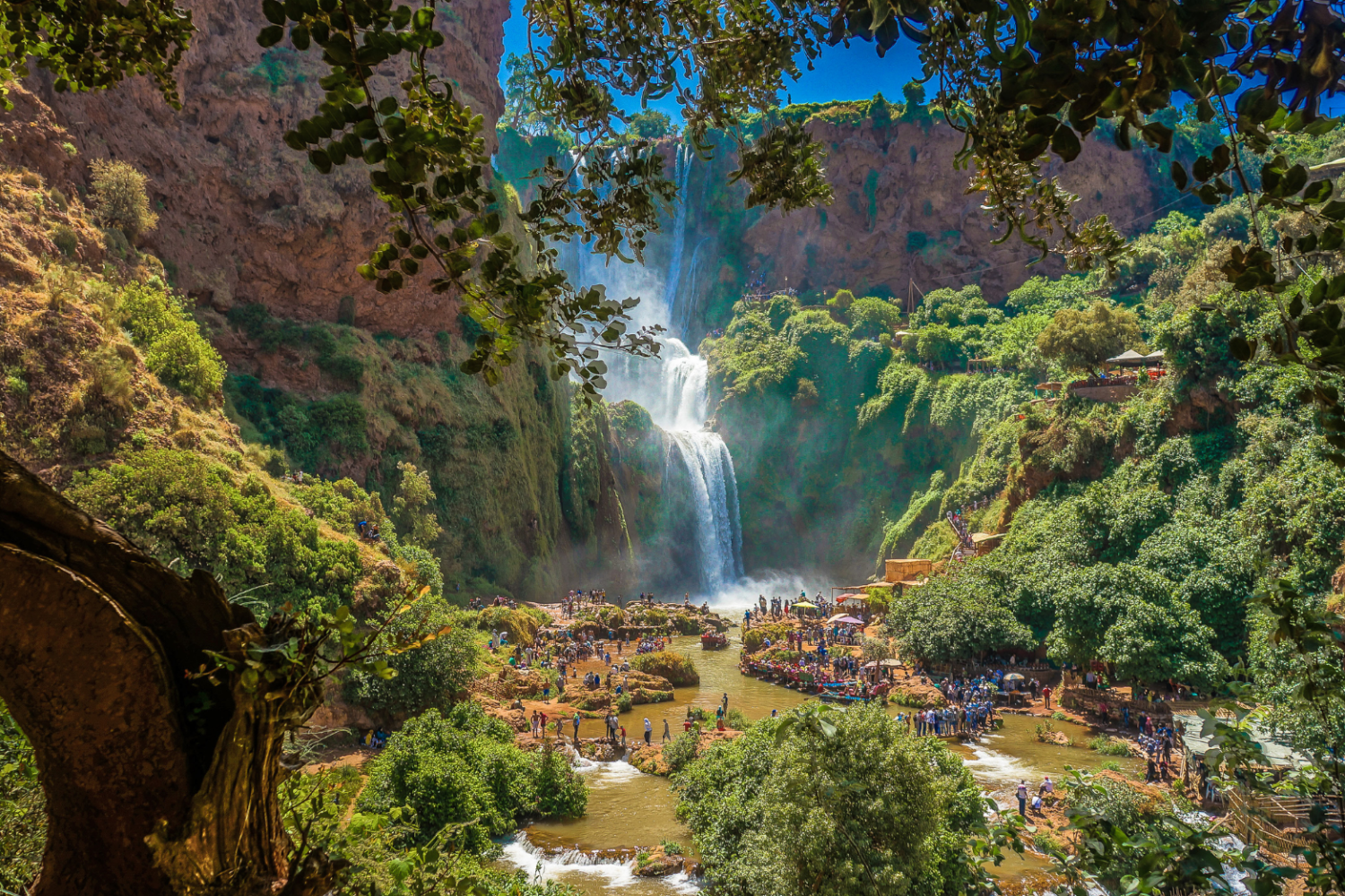 Ouzoud Waterfalls day trip from Marrakech