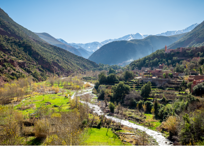 day trip from marrakech to ourika